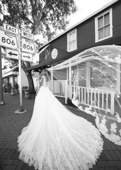 Randy Fenoli, Anastasia
