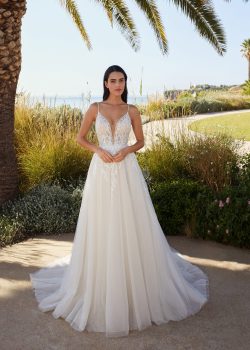 Cosmobella 8137