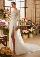 1E23_XERIN_ROSA_CLARA_1